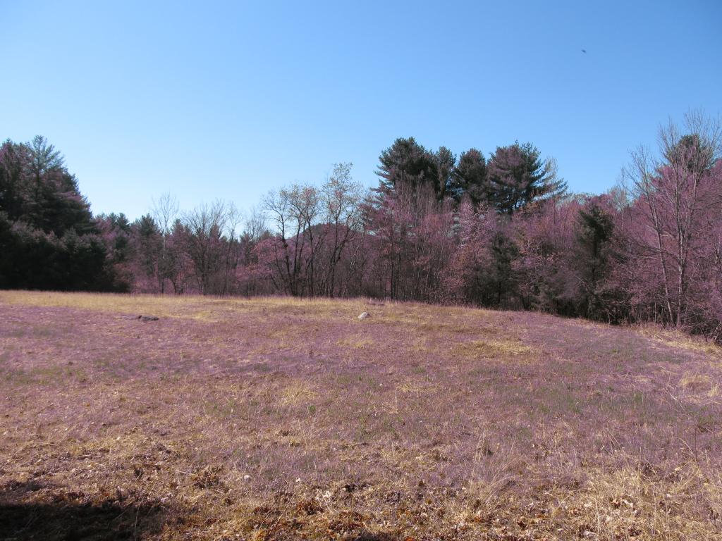 0 Old County Road Brownfield, ME 04010 - Photo 4 of 7