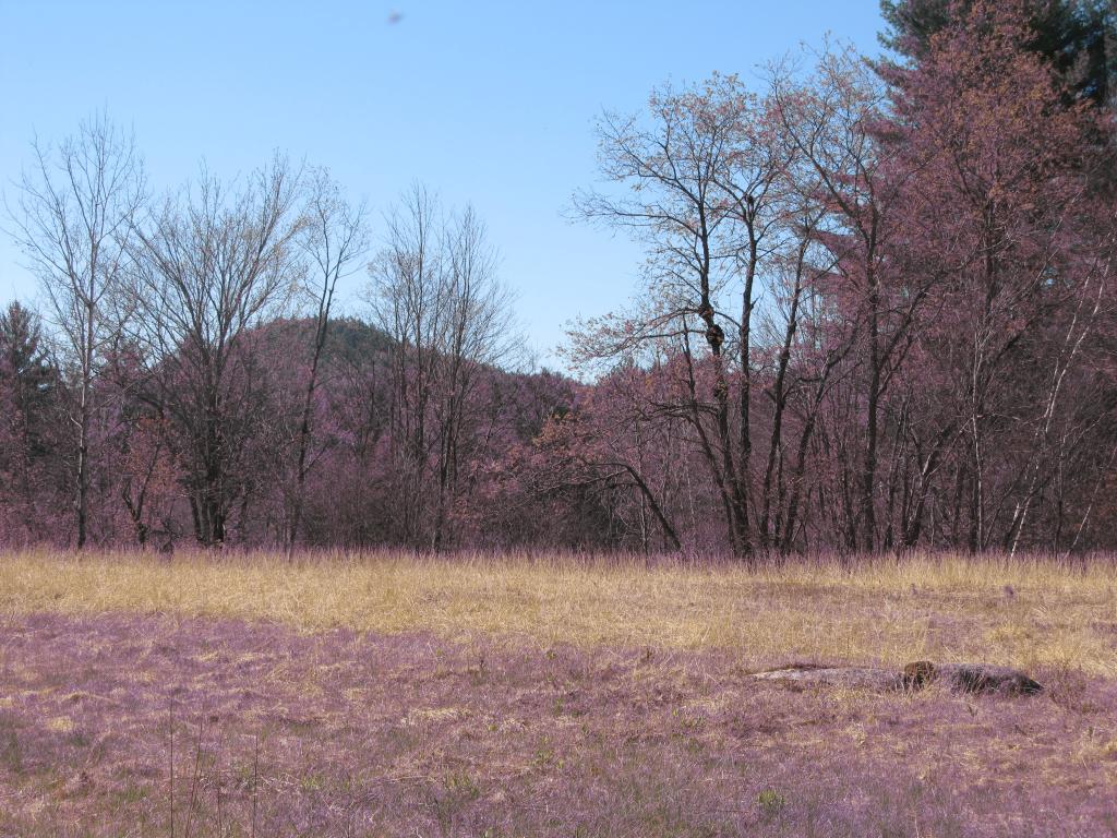 0 Old County Road Brownfield, ME 04010 - Photo 6 of 7