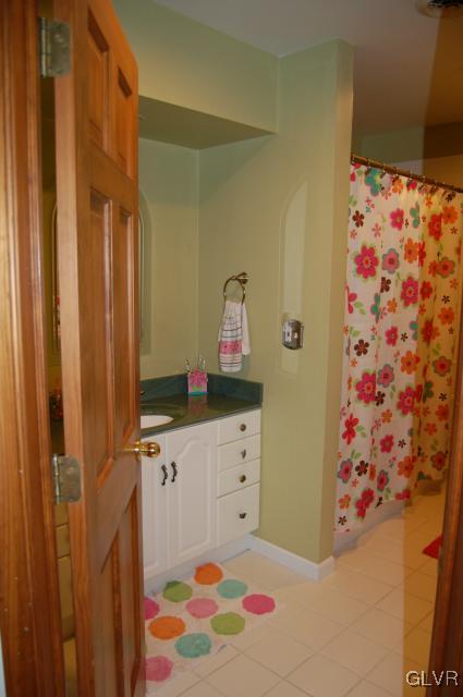 1261 Miller Road Wind Gap, PA 18091 - Photo 10 of 24 a bathroom with a sink and a mirror
