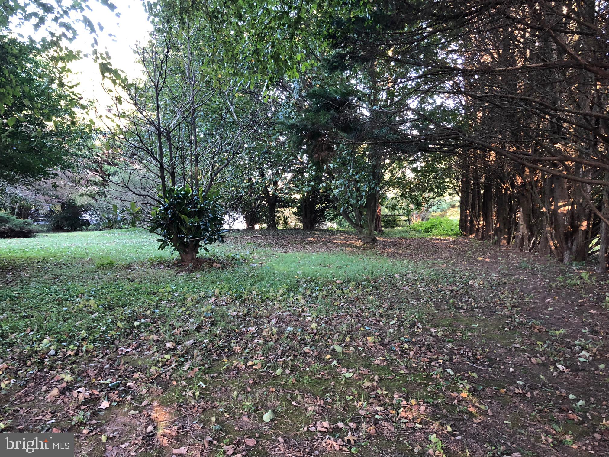 4333 Sweet Air Road Baldwin, MD 21013 - Photo 22 of 28 a view of a tree in the middle of a yard
