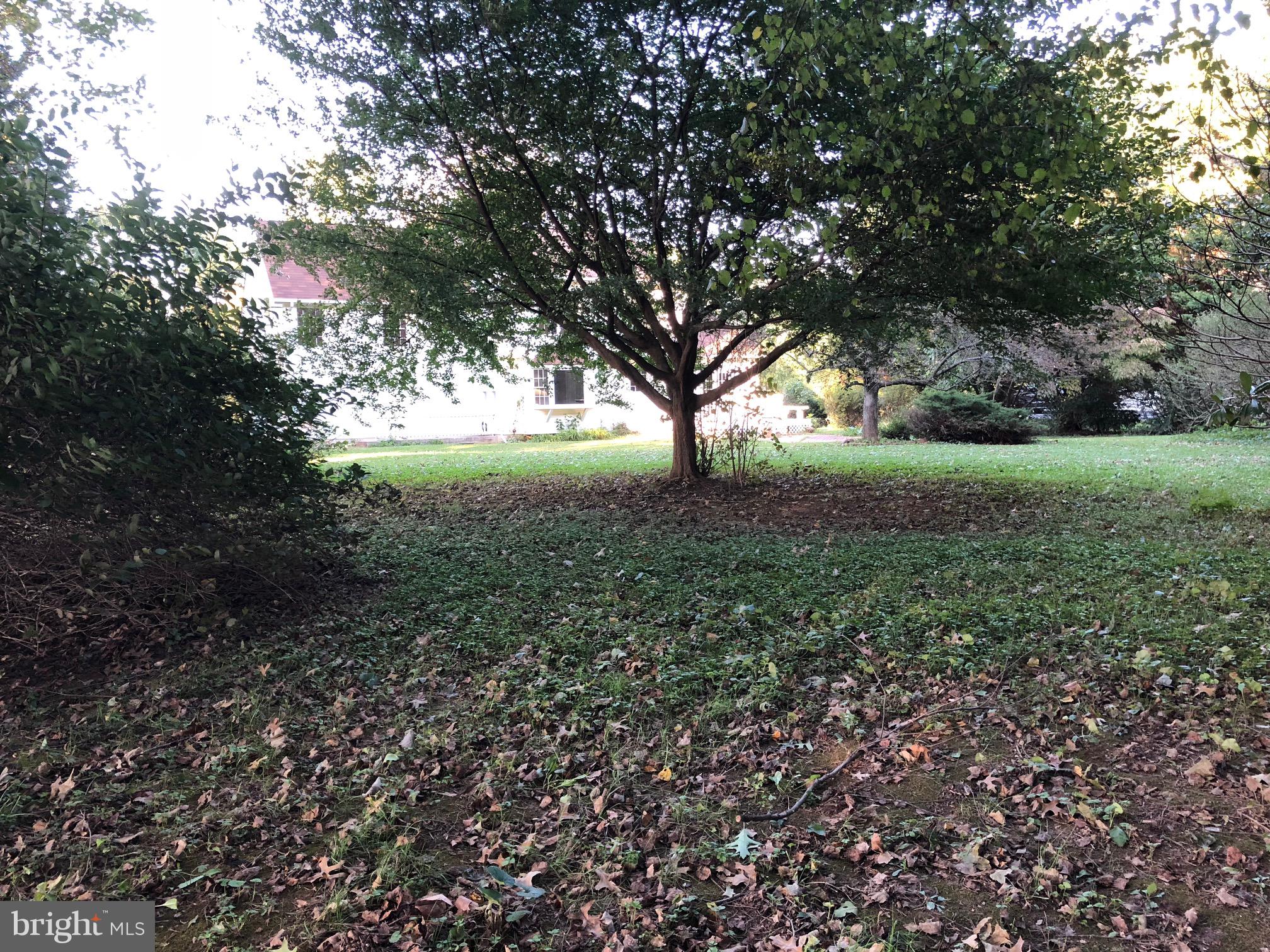 4333 Sweet Air Road Baldwin, MD 21013 - Photo 23 of 28 a view of yard with trees