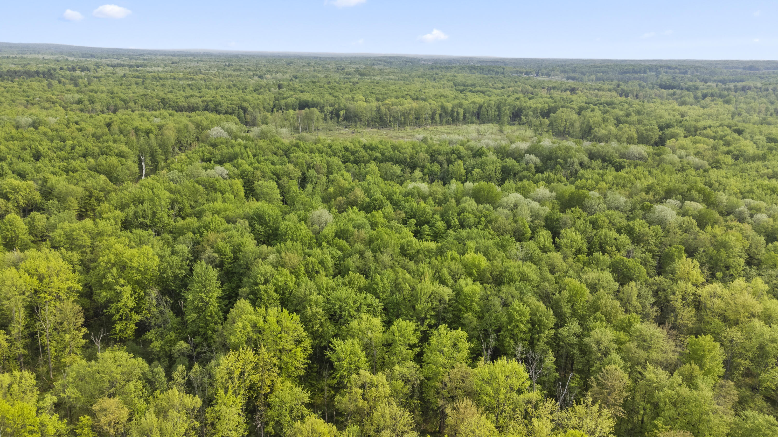 2507 3 Mile Road Sears, MI 49679 - Photo 37 of 100 DJI_0340