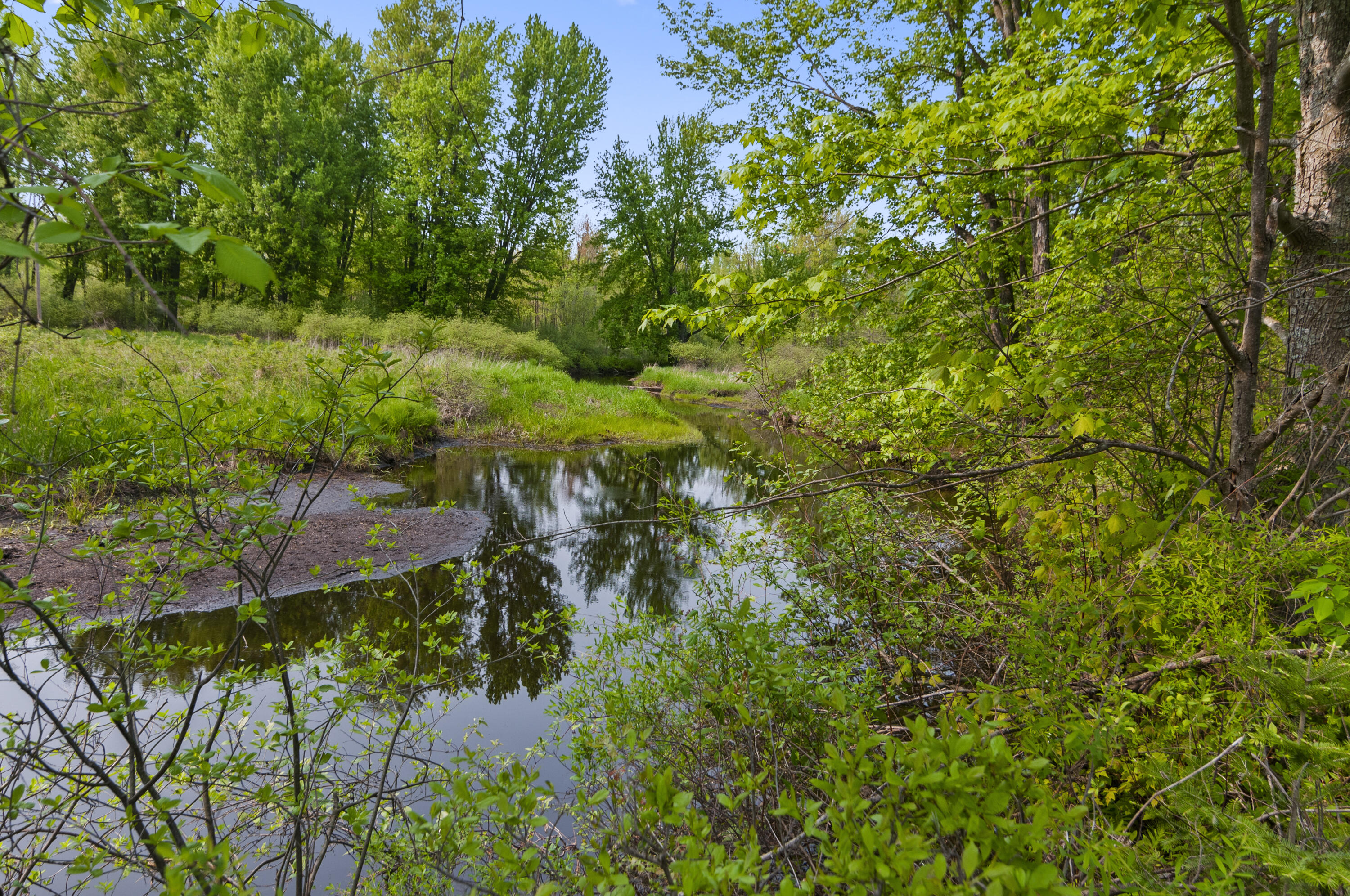 2507 3 Mile Road Sears, MI 49679 - Photo 41 of 100 DSC_0820