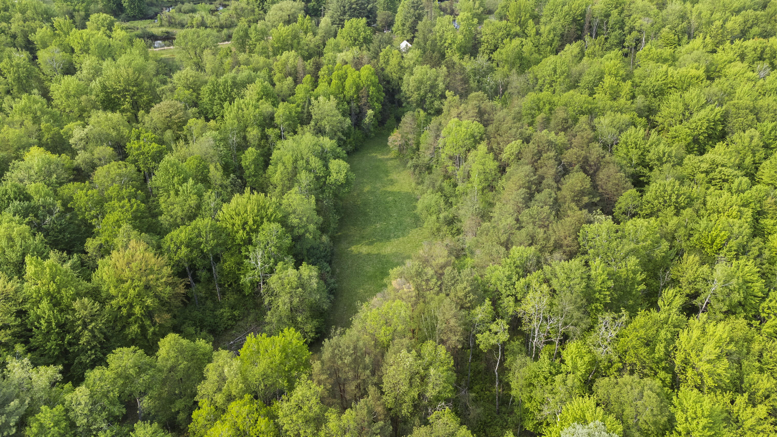 2507 3 Mile Road Sears, MI 49679 - Photo 44 of 100 DJI_0334
