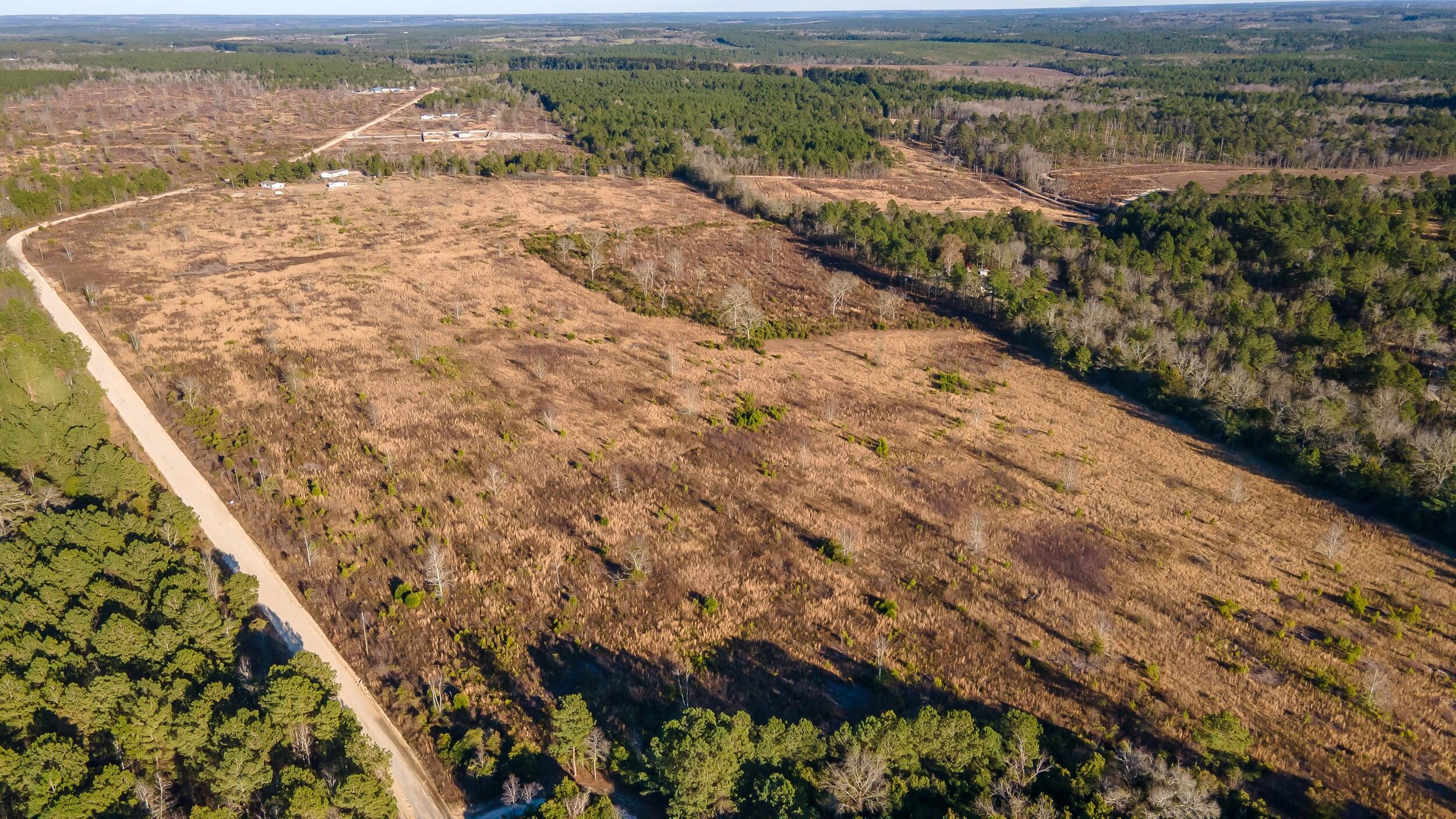 Lot 4 Old Shoals Road Monetta, SC 29105 - Photo 12 of 18