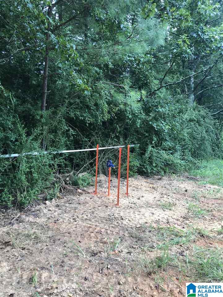 0 Runway Drive, Unit 1 Hayden, AL 35079 - Photo 9 of 9