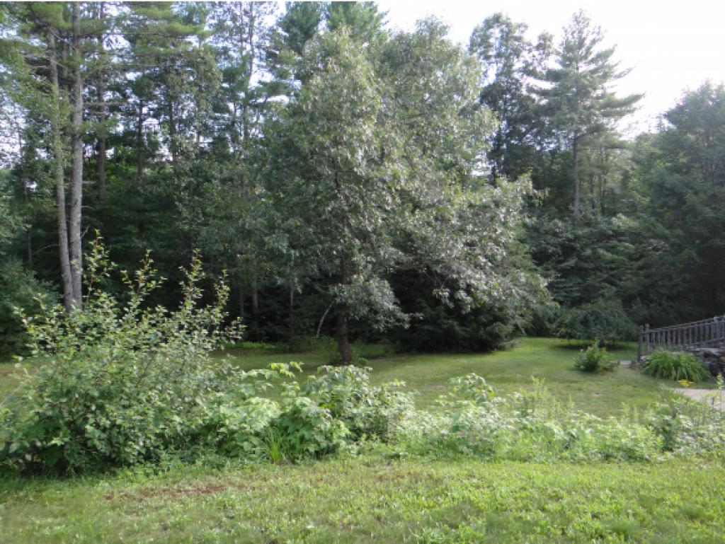 8 Lee Road Barrington, NH 03825 - Photo 7 of 11