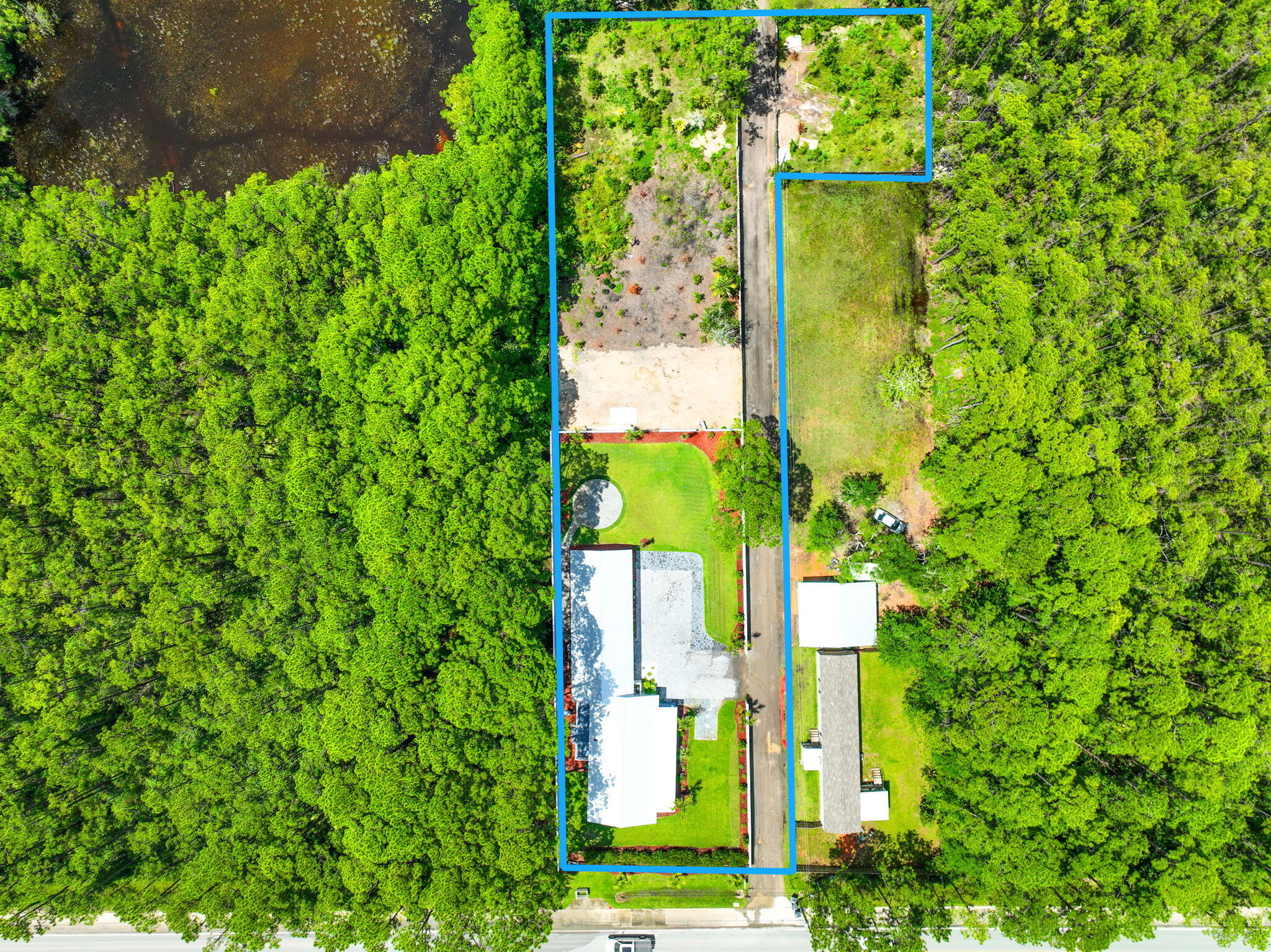 2672 Chat Holley Road Santa Rosa Beach, FL 32459 - Photo 52 of 53 a close up of a plant in a garden