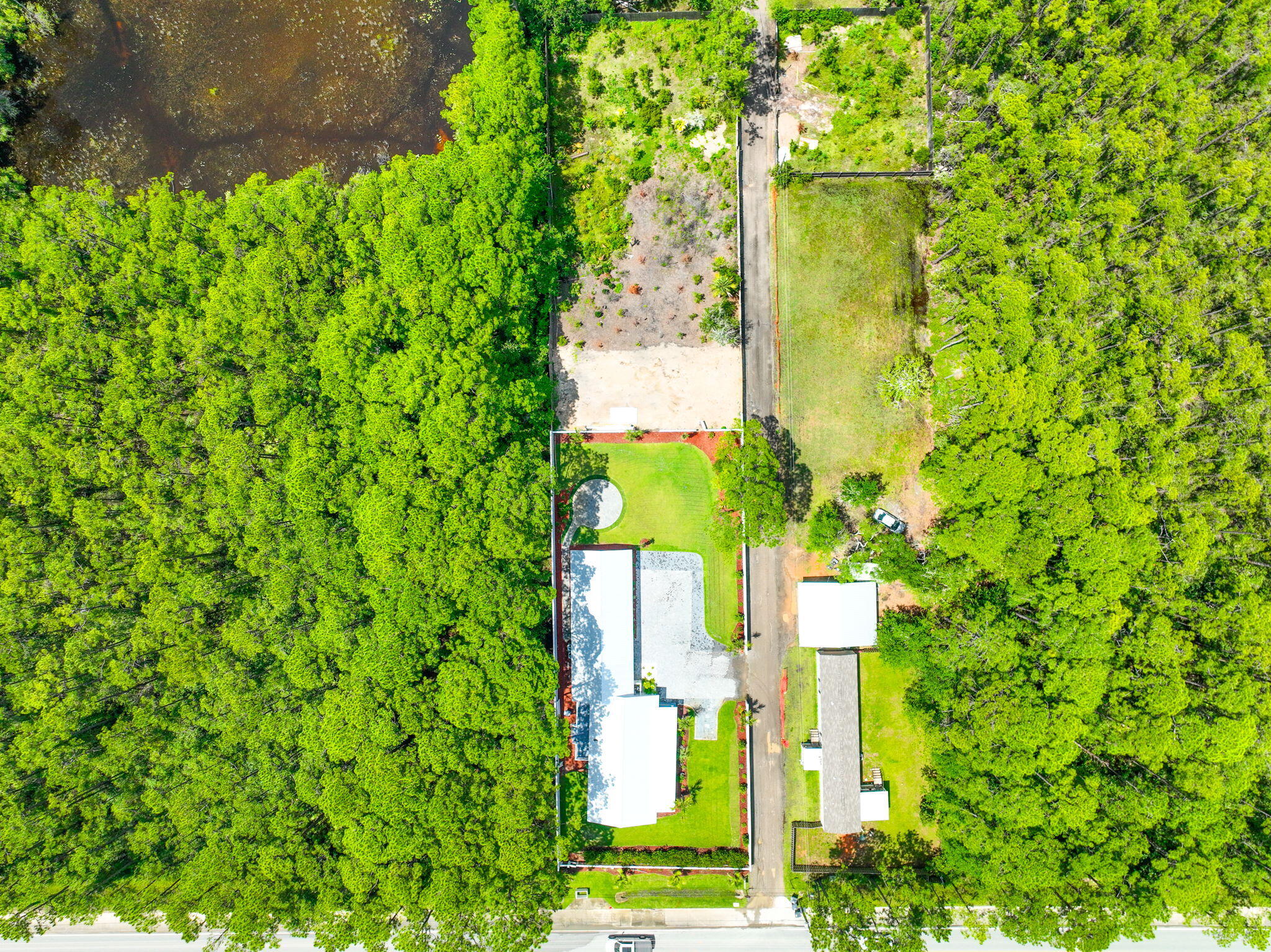 2672 Chat Holley Road Santa Rosa Beach, FL 32459 - Photo 53 of 53 a close up of a plant in a garden