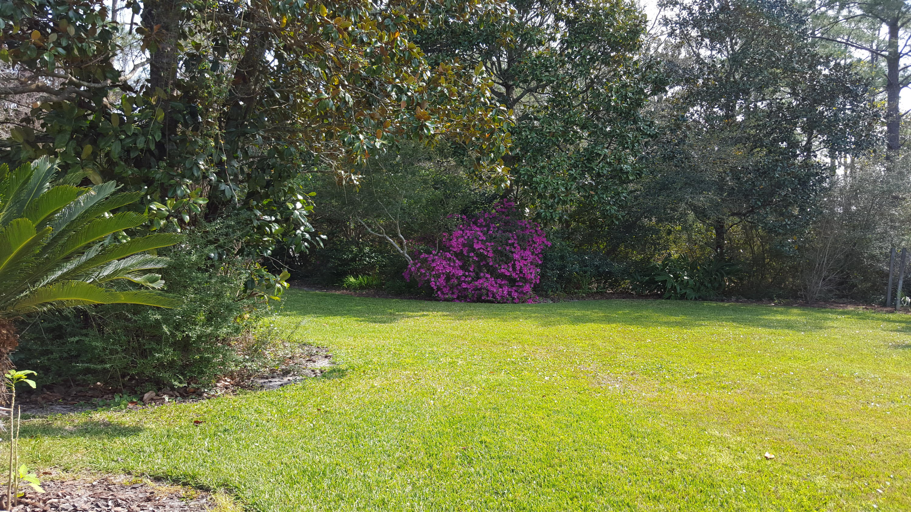 240 7th Street Santa Rosa Beach, FL 32459 - Photo 34 of 50 a backyard of a house with lots of green space