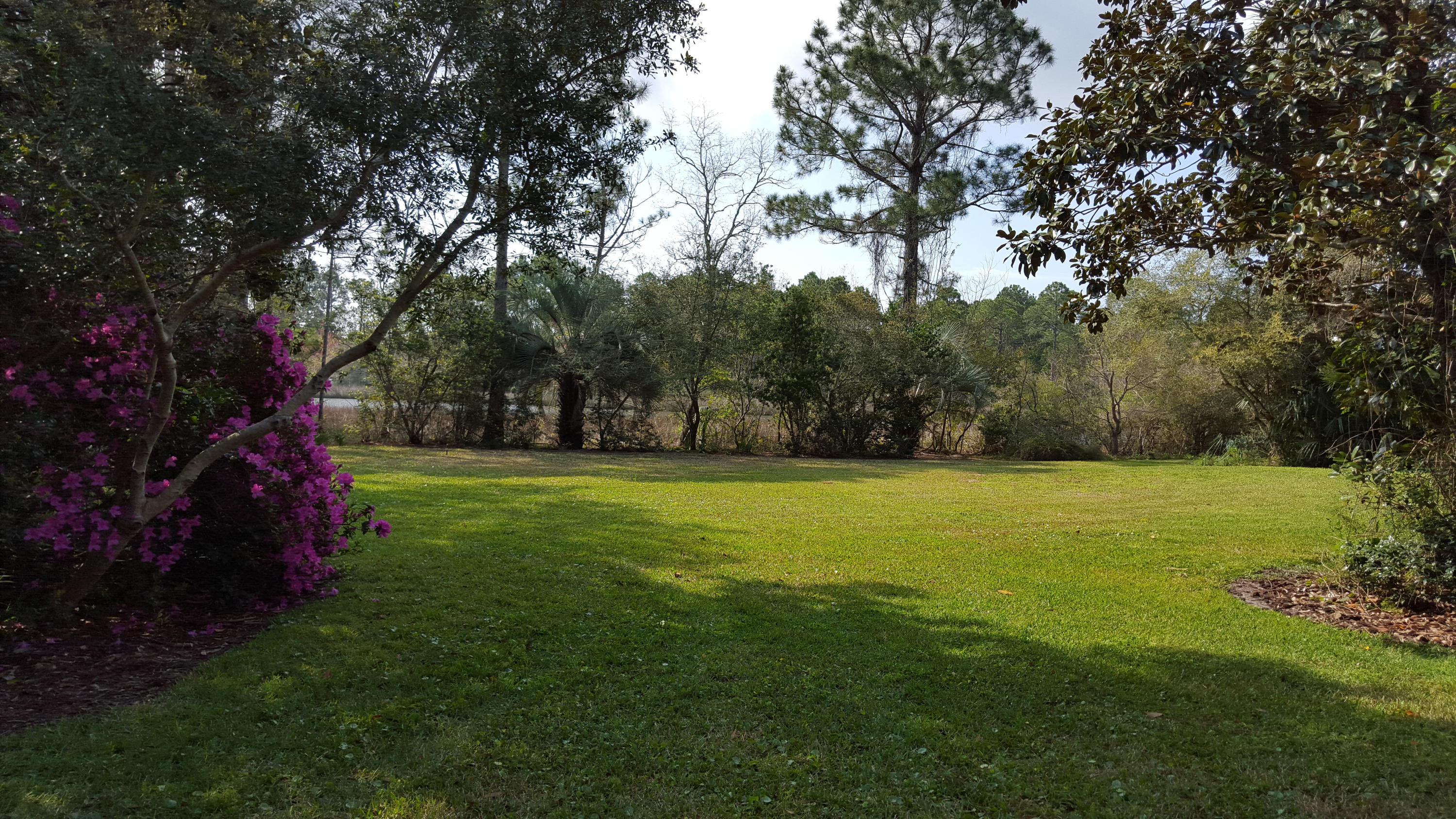 240 7th Street Santa Rosa Beach, FL 32459 - Photo 35 of 50 a view of outdoor space