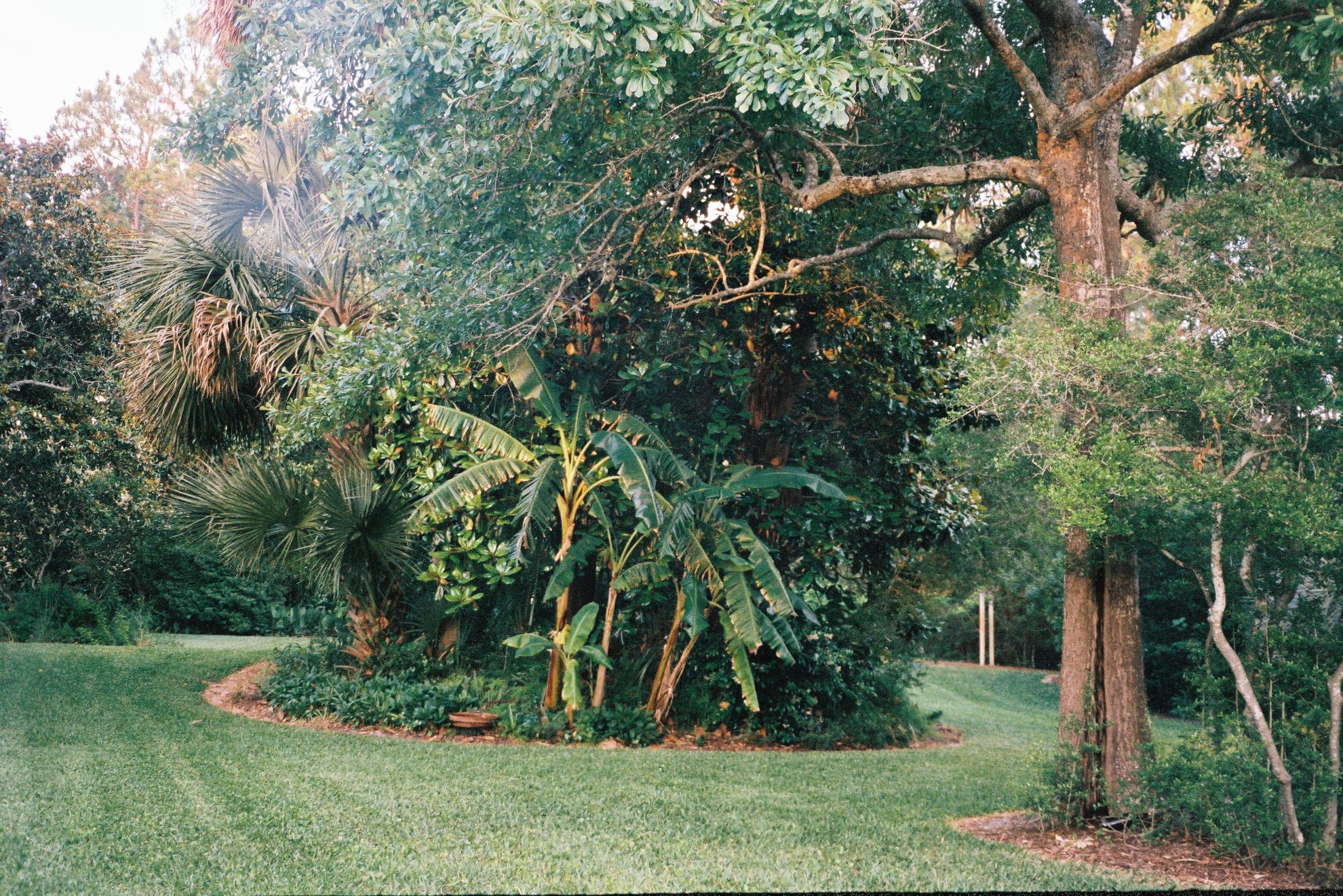 240 7th Street Santa Rosa Beach, FL 32459 - Photo 41 of 50 a view of a backyard