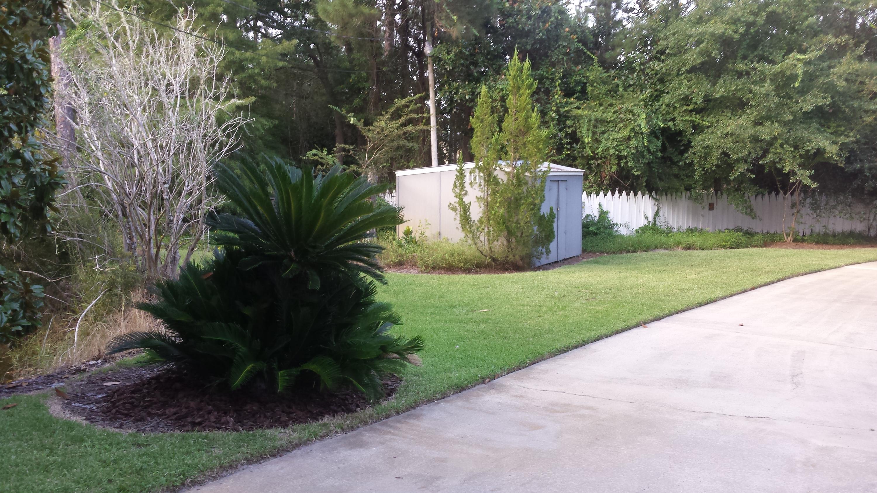 240 7th Street Santa Rosa Beach, FL 32459 - Photo 42 of 50 a view of a garden with plants and large trees