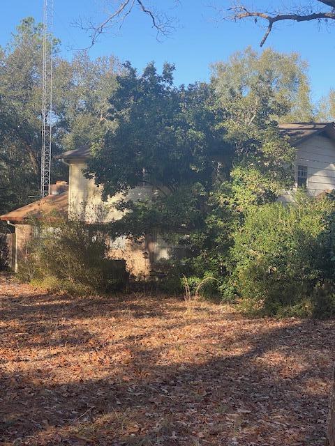 a view of a yard with a tree
