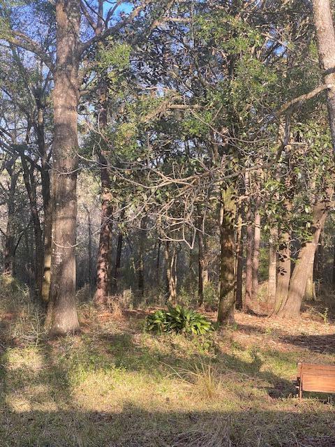 6071 Jesse Medley Road Crestview, FL 32539 - Photo 2 of 2 a view of a yard with large trees