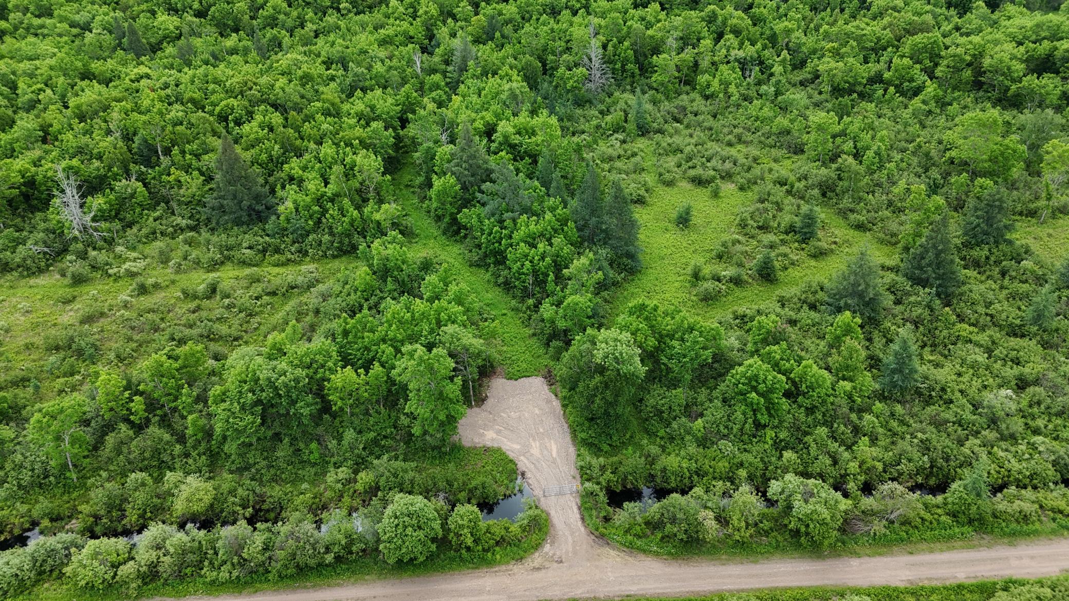 11840 Rice Haven Road Floodwood, MN 55736 - Photo 3 of 27
