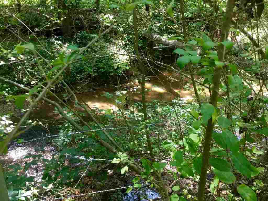 Blake Dairey Road Belton, SC 29627 - Photo 3 of 4