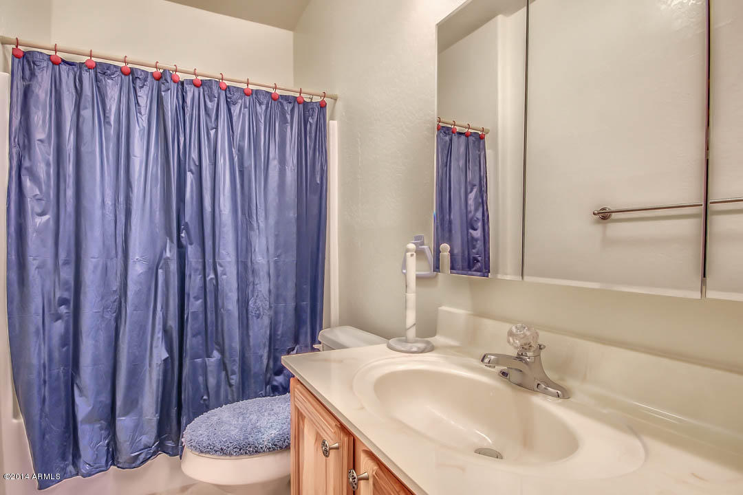 522 South Muleshoe Road Apache Junction, AZ 85119 - Photo 36 of 52 Muleshoe-36