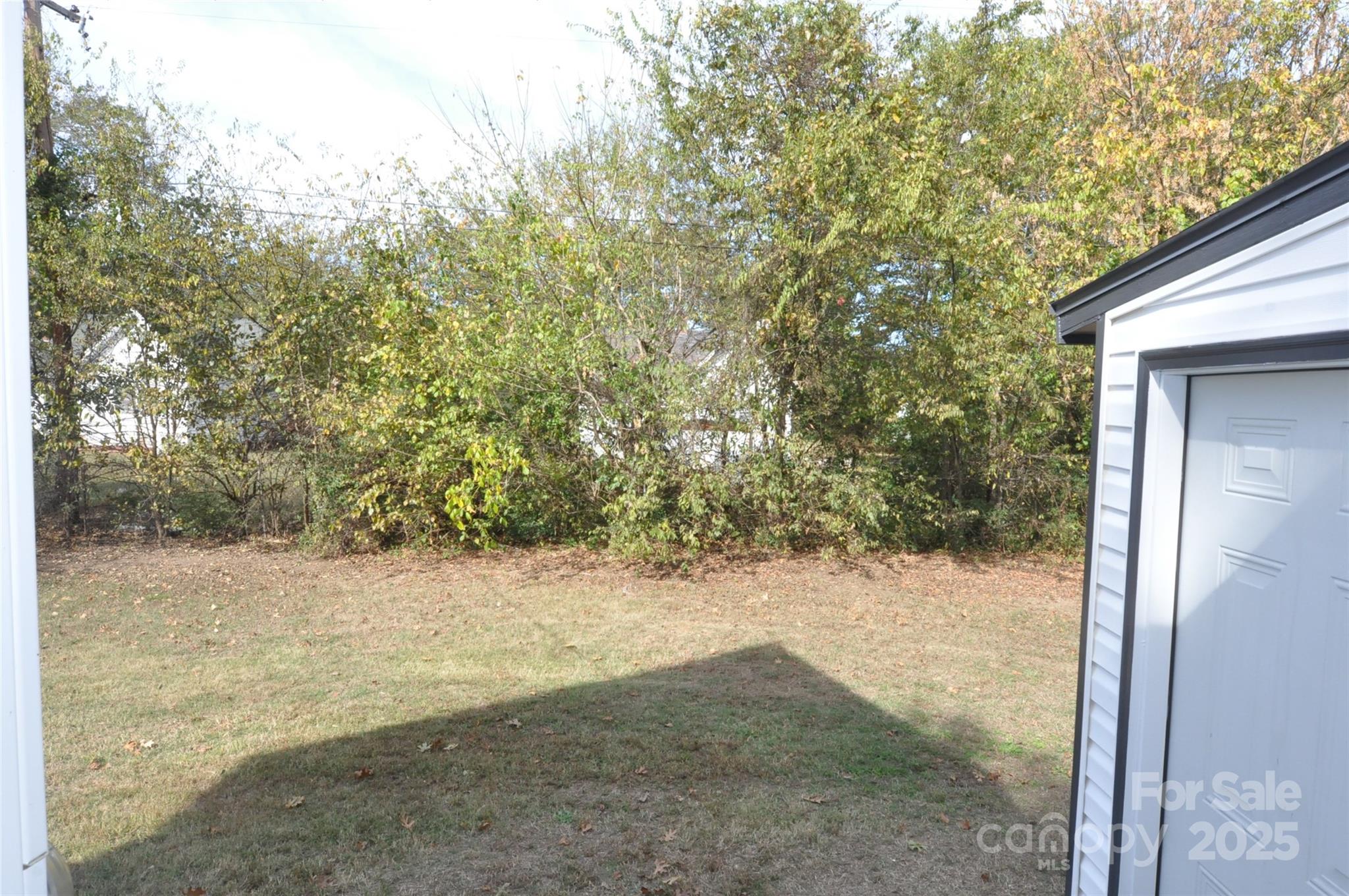 538 Pinckney Road Chester, SC 29706 - Photo 32 of 33 a view of a yard with a tree