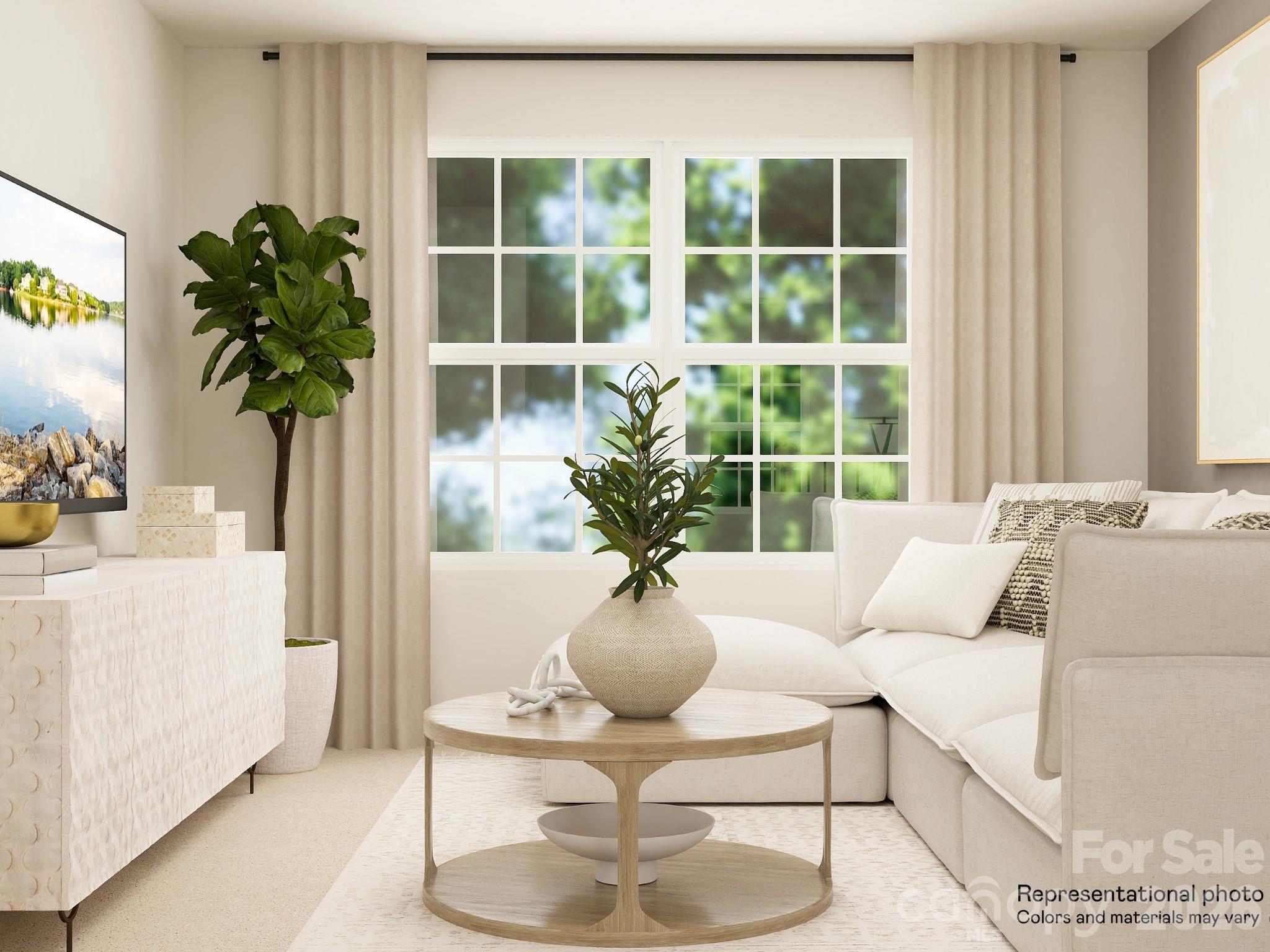 7026 Juneberry Way Maiden, NC 28650 - Photo 16 of 23 a living room with furniture and a potted plant