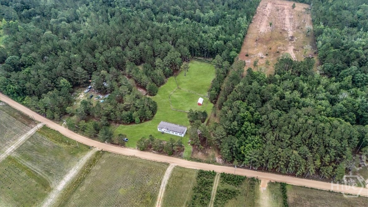 750 South T Morris Road Northeast Ludowici, GA 31316 - Photo 38 of 41