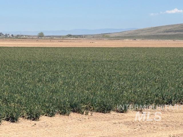 Tbd South Robinson Road Kuna, ID 83634 - Photo 3 of 6