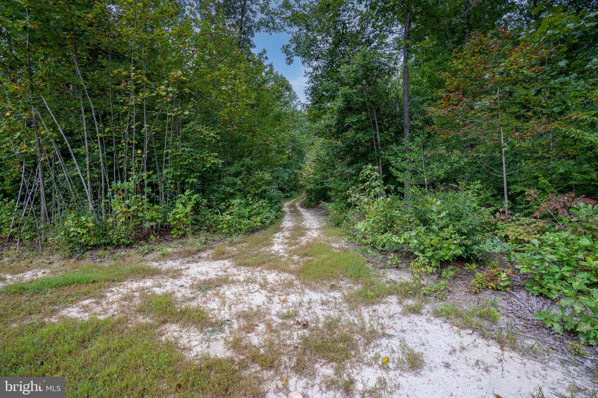 6008 Glebe Run Road Partlow, VA 22534 - Photo 33 of 35 Gallery Image 33