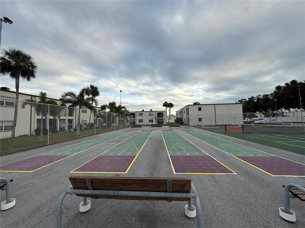 7701 Starkey Road, Unit 703 Seminole, FL 33777 - Photo 18 of 23 a room with lots of trees and plants
