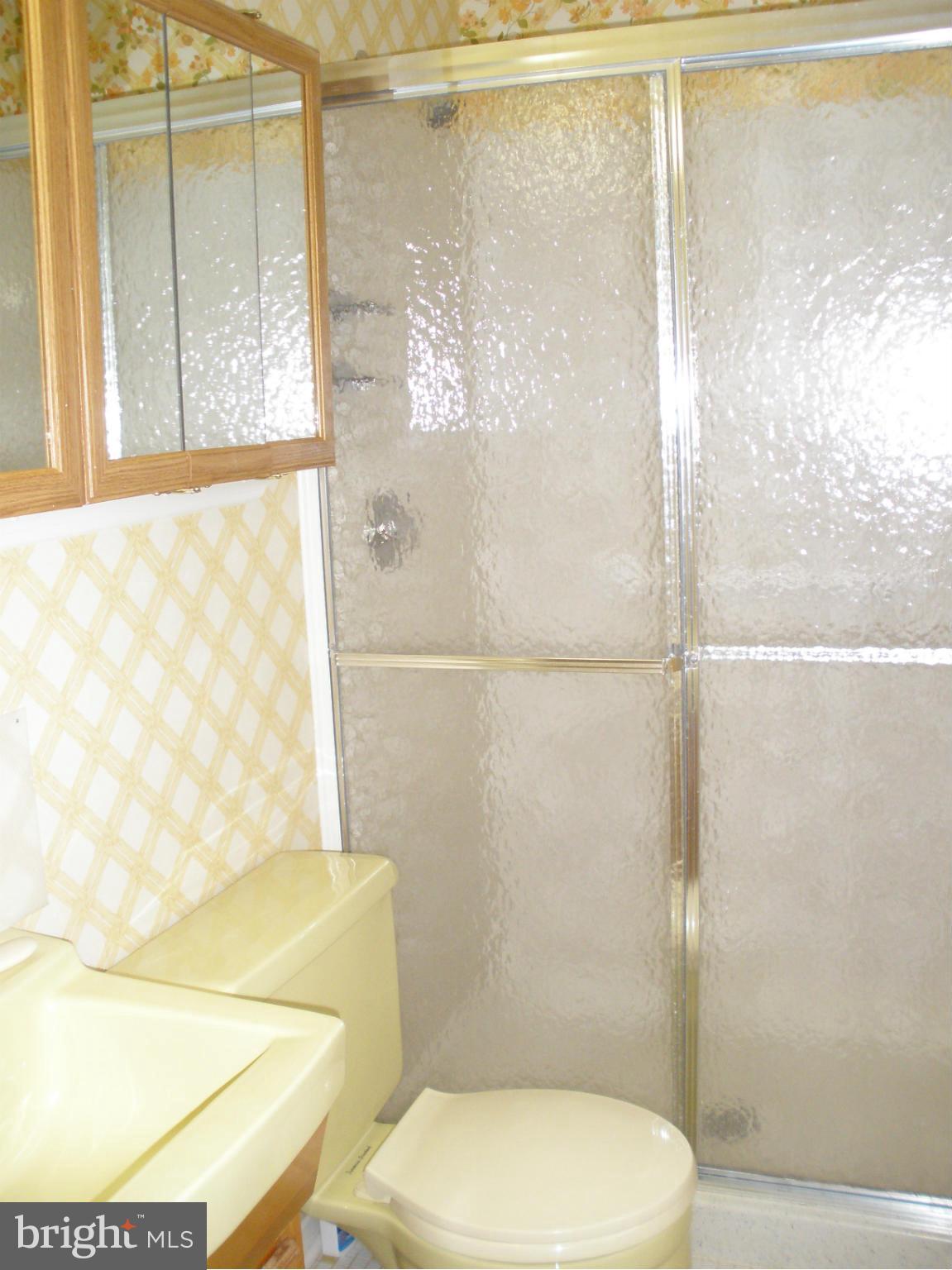 9506 Gunview Road Baltimore, MD 21236 - Photo 14 of 25 Bath (Master)