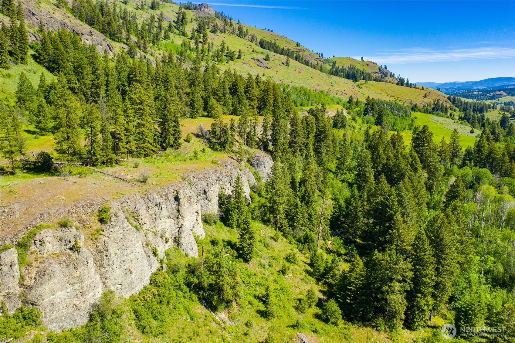 -tbd Cromwell Road Malo, WA 99150 - Photo 12 of 36