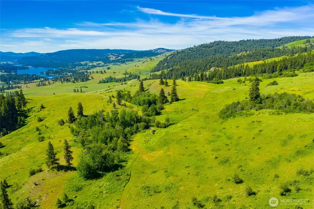 $3,100,000 | -tbd Cromwell Road, Malo, WA 99150