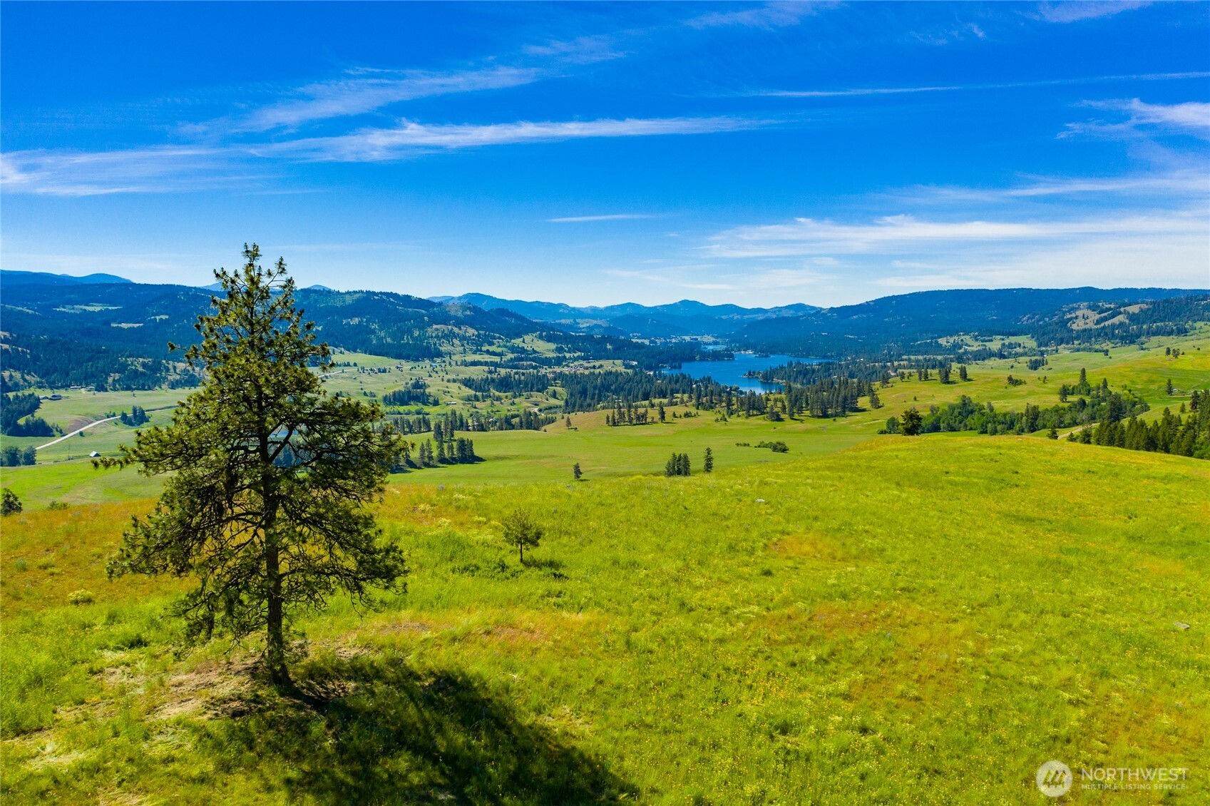 -tbd Cromwell Road Malo, WA 99150 - Photo 15 of 36