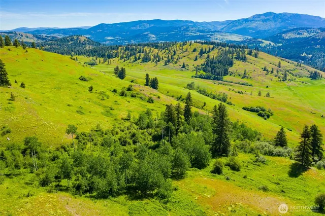 $3,100,000 | -tbd Cromwell Road, Malo, WA 99150