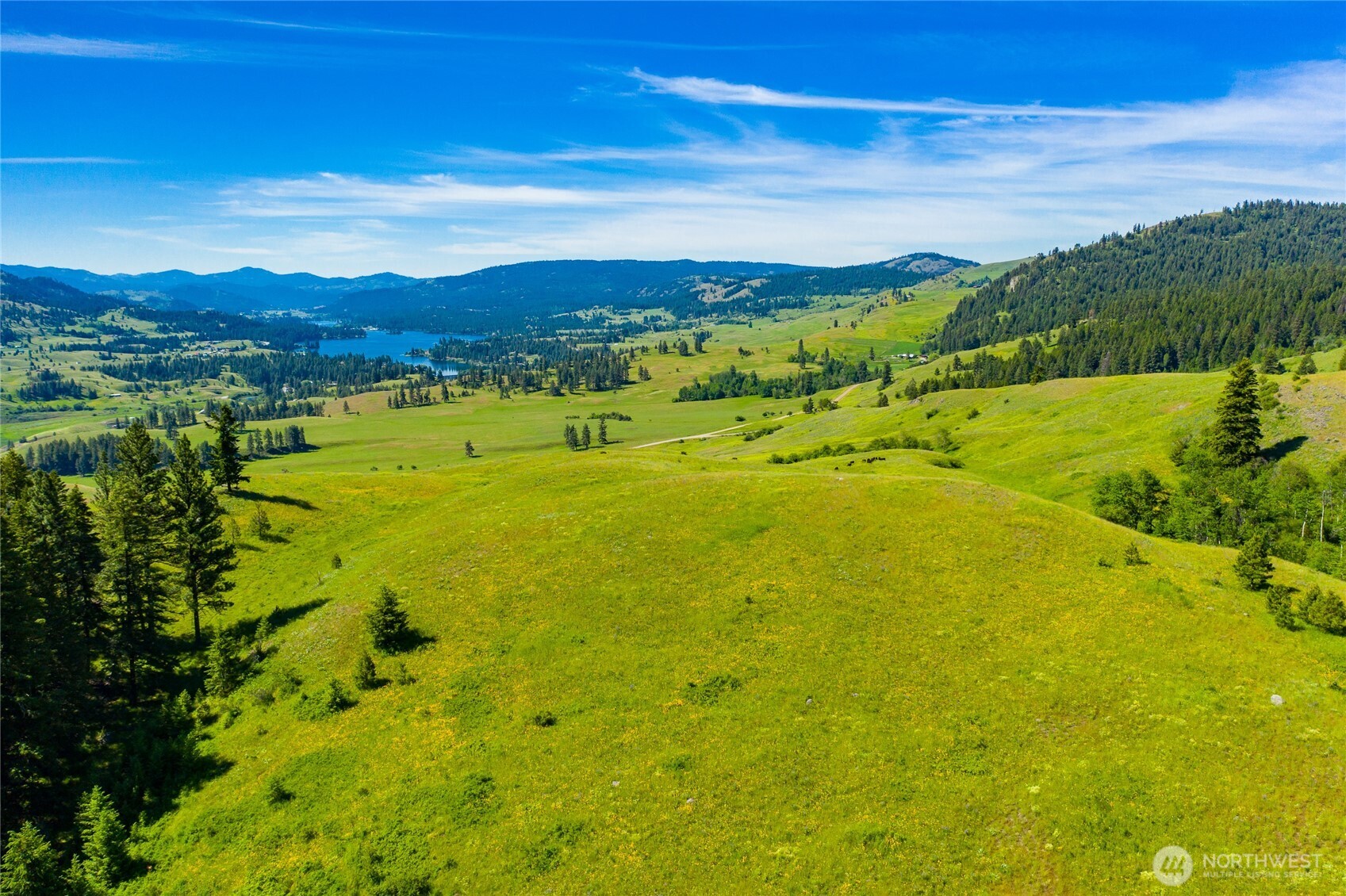 -tbd Cromwell Road Malo, WA 99150 - Photo 17 of 36