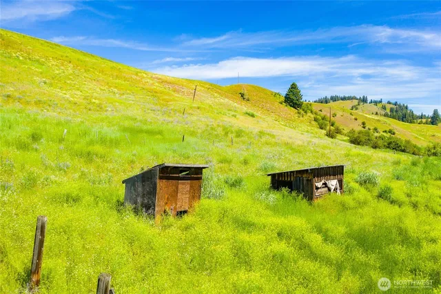 $3,100,000 | -tbd Cromwell Road, Malo, WA 99150