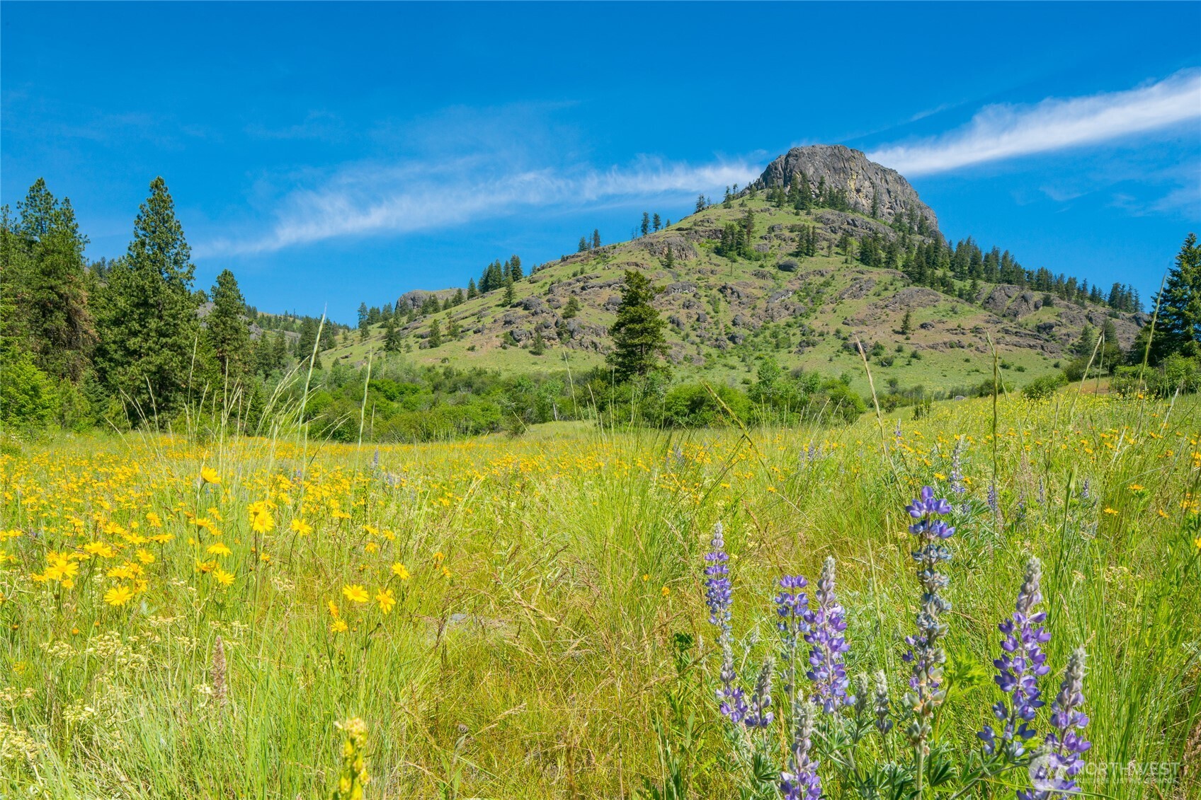 -tbd Cromwell Road Malo, WA 99150 - Photo 29 of 36