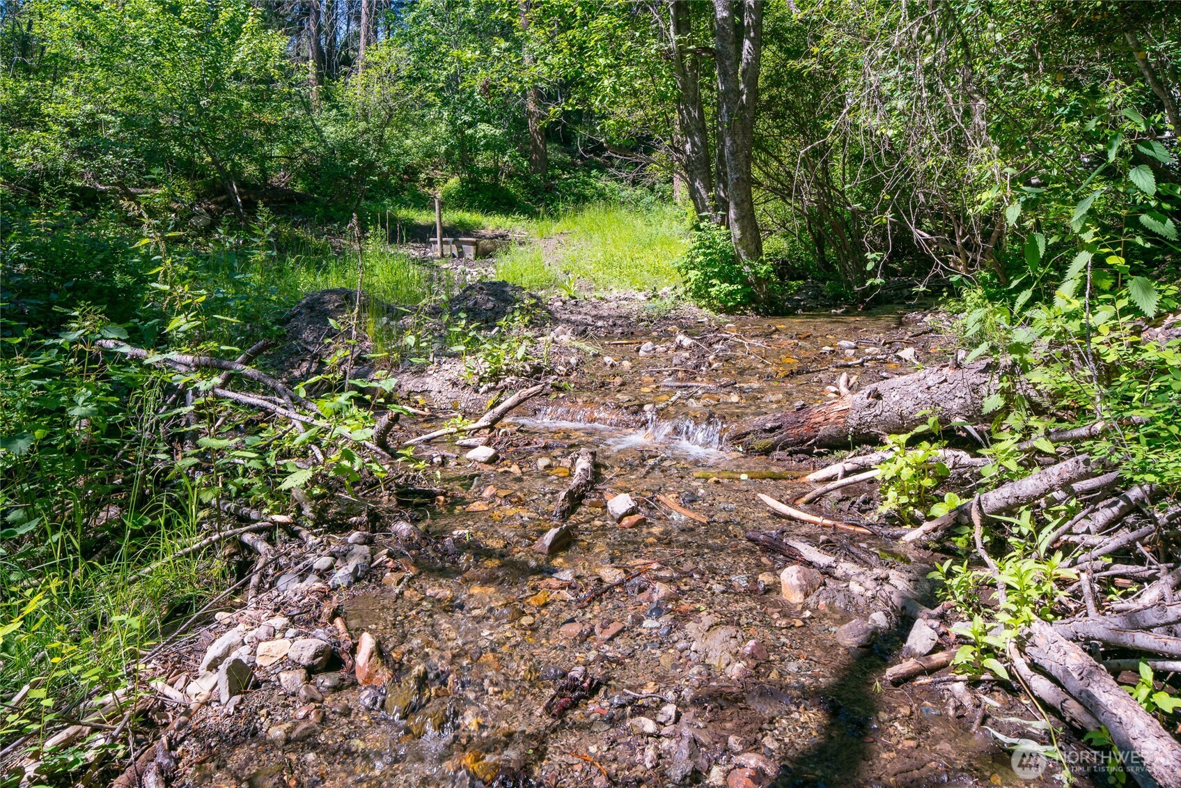 -tbd Cromwell Road Malo, WA 99150 - Photo 30 of 36