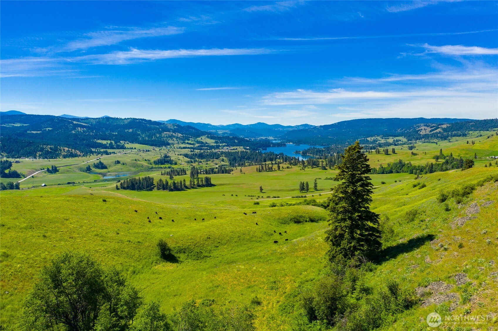 -tbd Cromwell Road Malo, WA 99150 - Photo 34 of 36