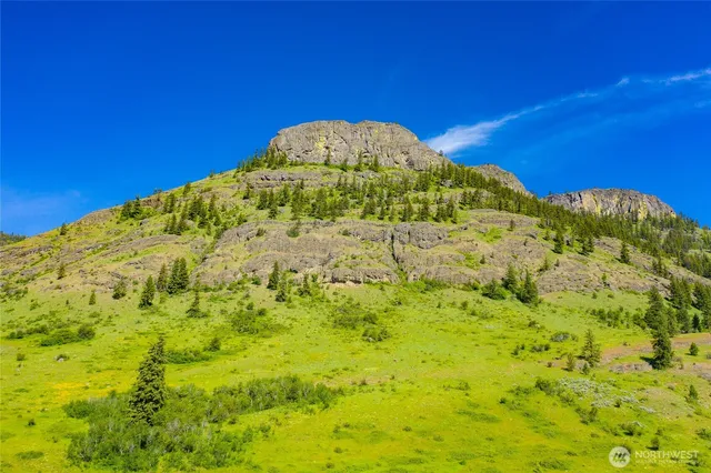 $3,100,000 | -tbd Cromwell Road, Malo, WA 99150