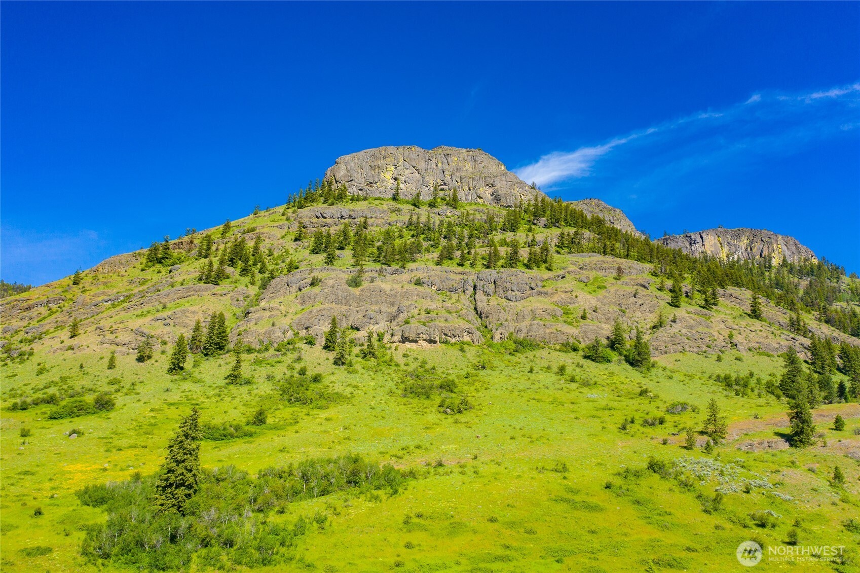 -tbd Cromwell Road Malo, WA 99150 - Photo 35 of 36