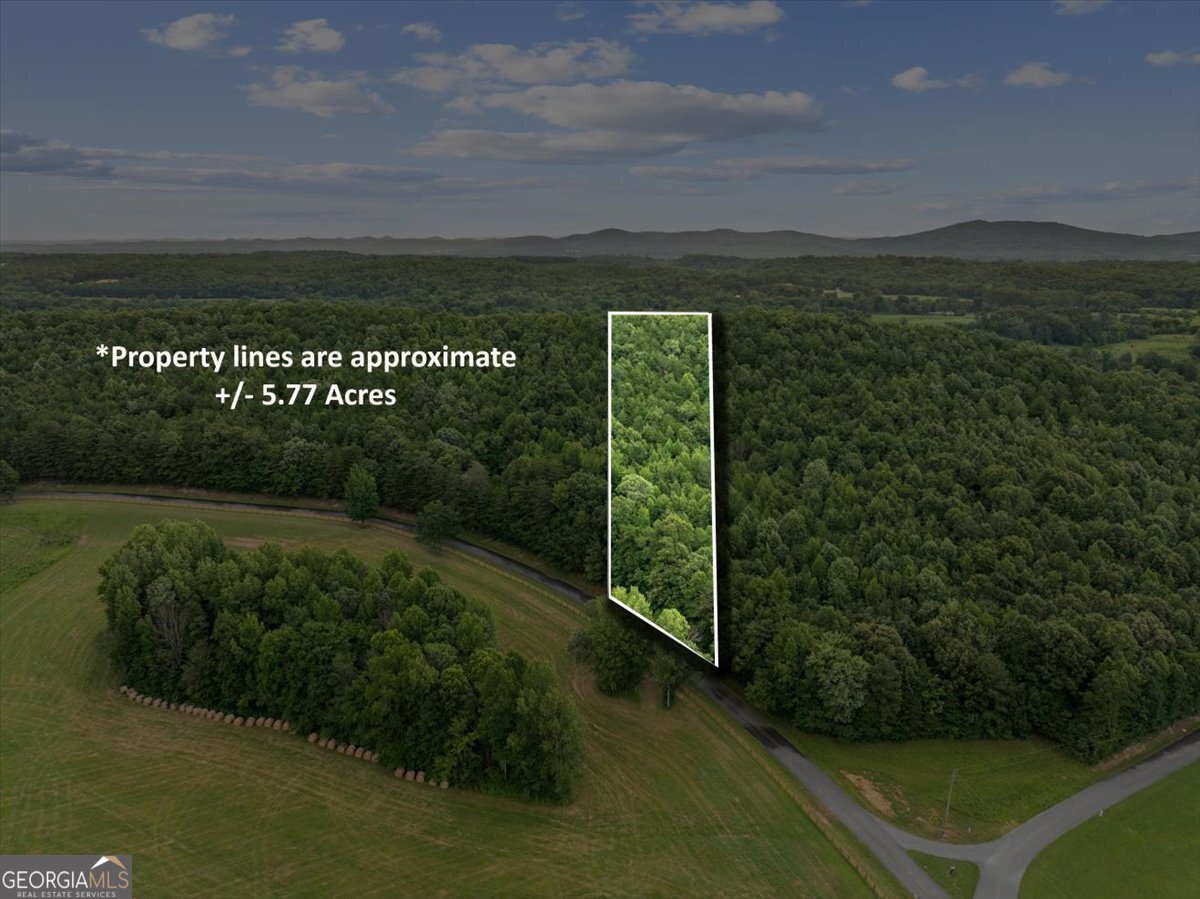 0 Fricks Gap Road, Unit LOT #4 Chickamauga, GA 30707 - Photo 1 of 13