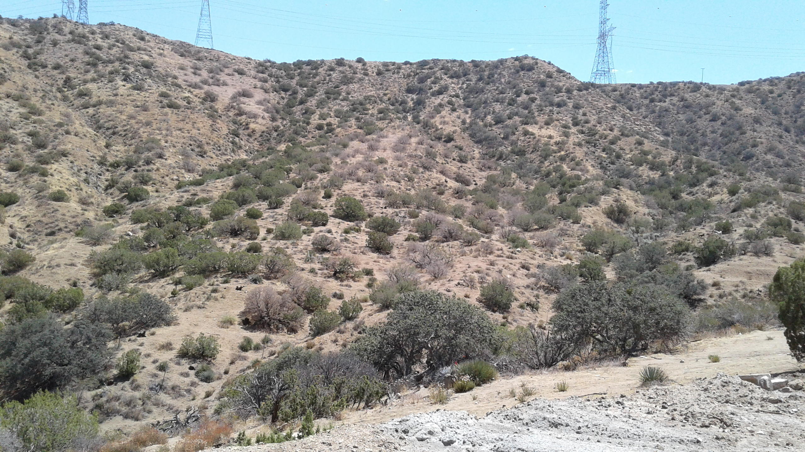 Vac/vic Juniper Ridge West Palmdale, CA 93550 - Photo 5 of 10 a view of a dry yard covered with snow