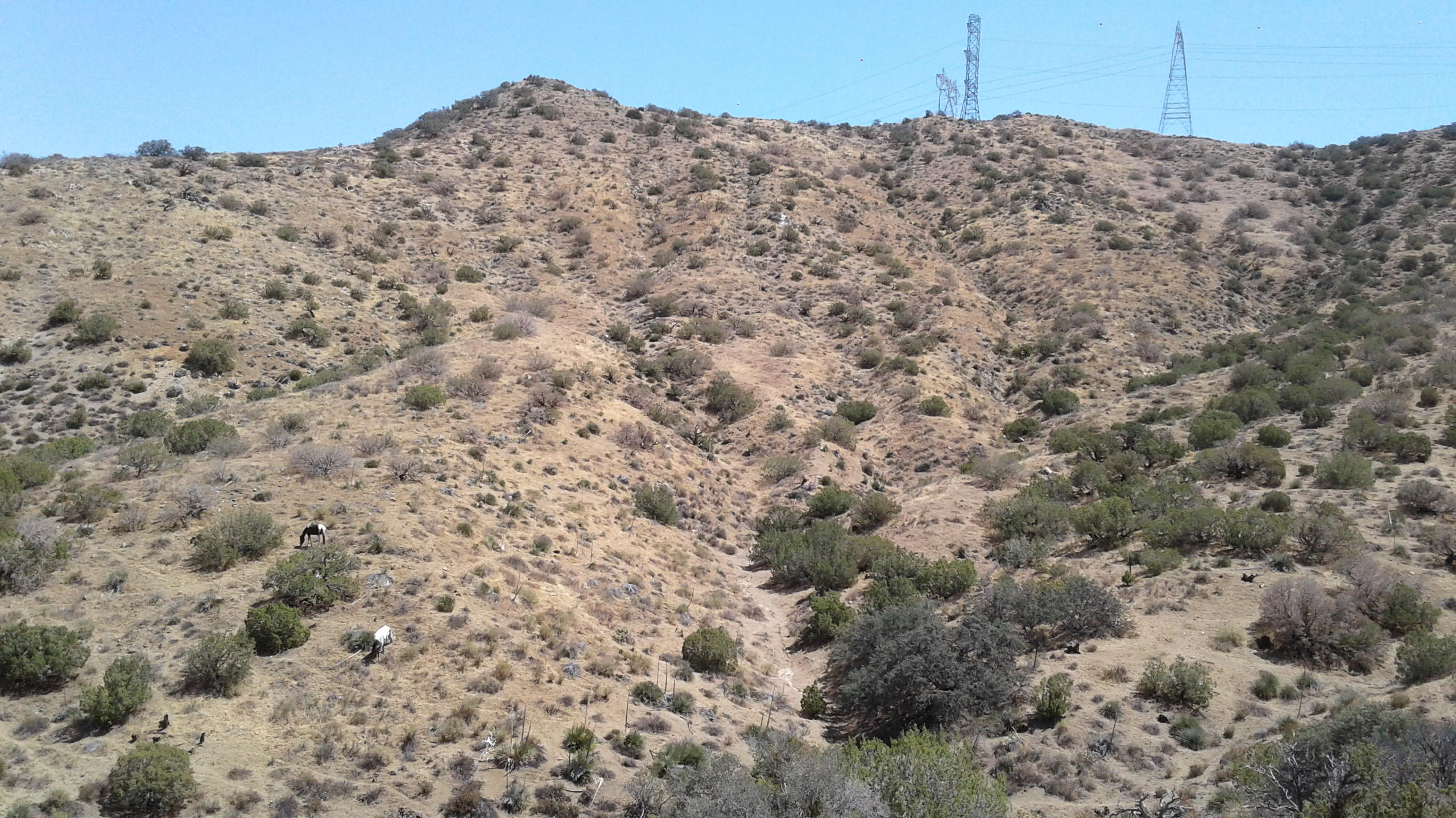 Vac/vic Juniper Ridge West Palmdale, CA 93550 - Photo 6 of 10 a view of a field