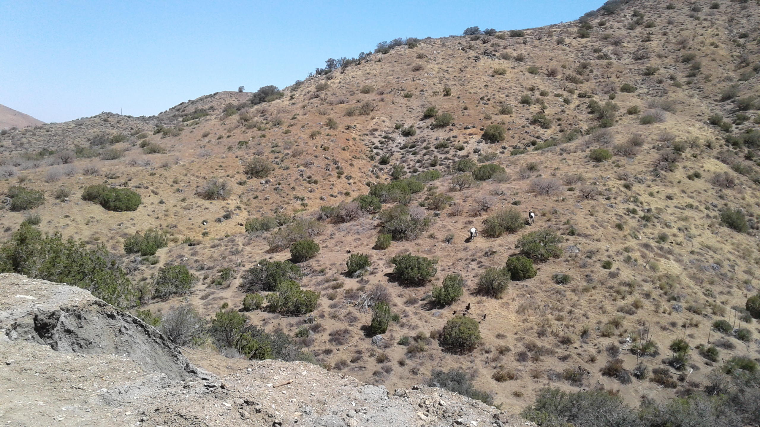Vac/vic Juniper Ridge West Palmdale, CA 93550 - Photo 7 of 10 a view of a dry field