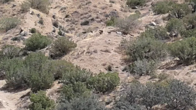 $259,000 | Vac/vic Juniper Ridge West, Palmdale, CA 93550