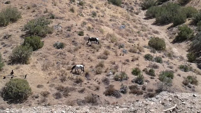 $259,000 | Vac/vic Juniper Ridge West, Palmdale, CA 93550