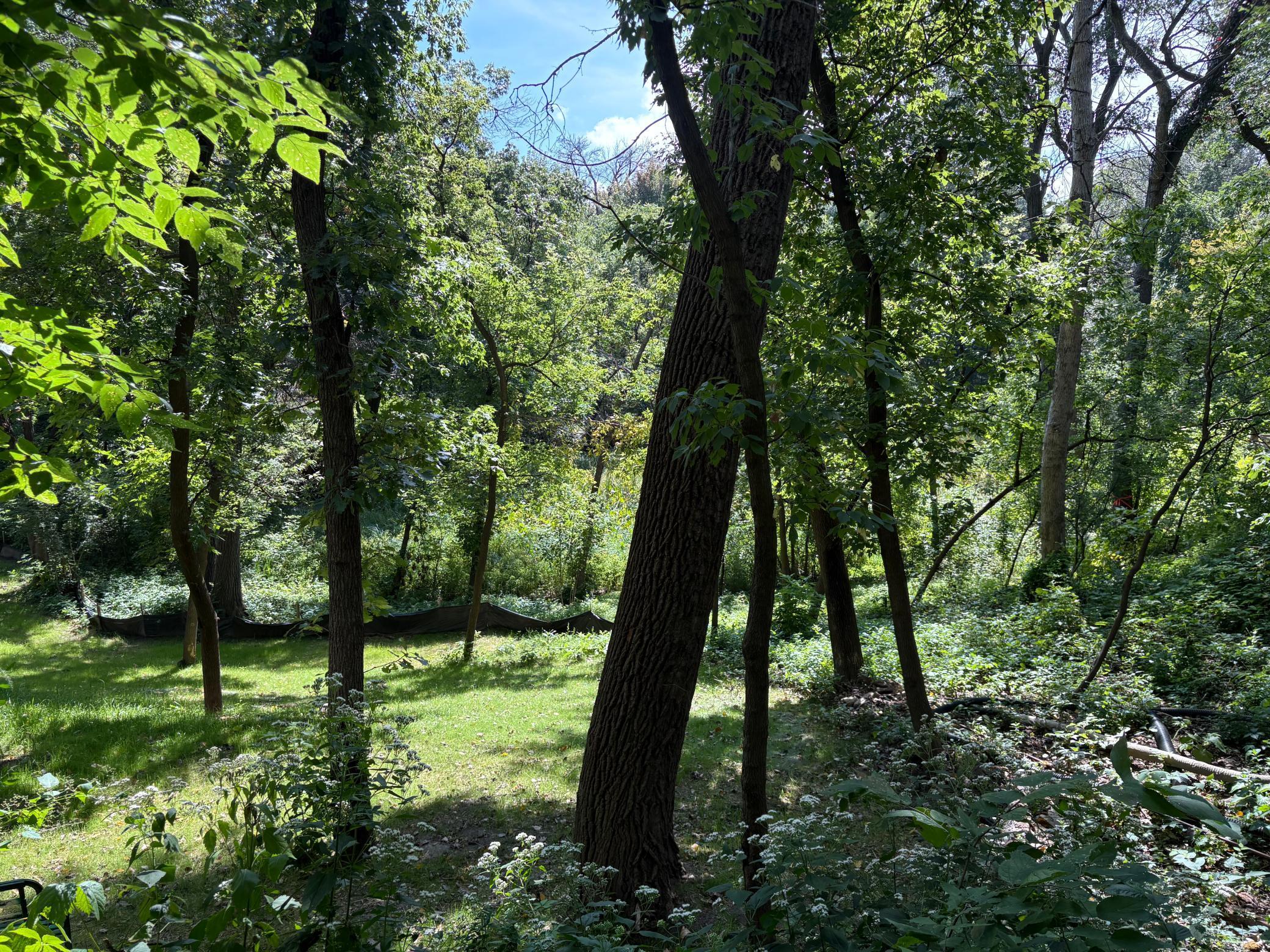 13420 Nicollet Lane Burnsville, MN 55337 - Photo 8 of 24