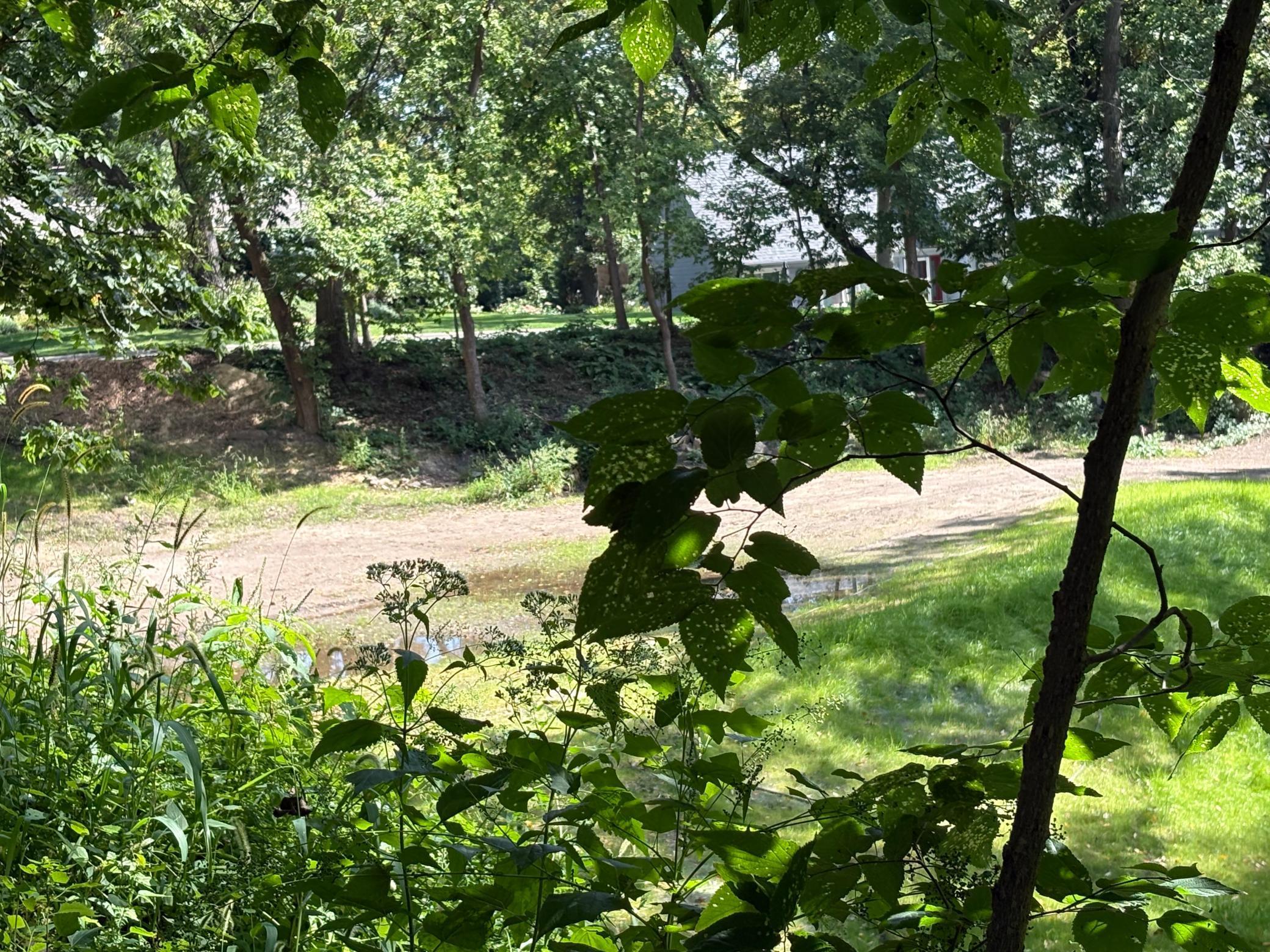 13420 Nicollet Lane Burnsville, MN 55337 - Photo 10 of 24