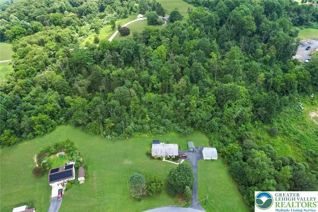 a view of a green yard with large trees