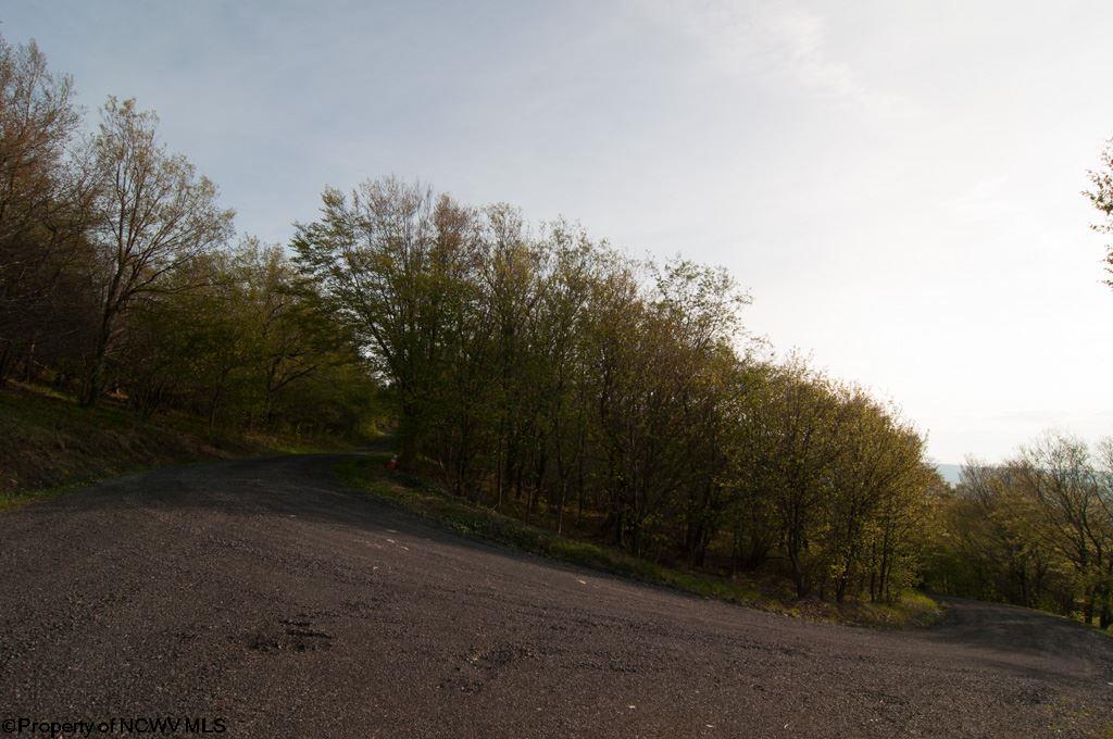 11 Mountainside Road Davis, WV 26260 - Photo 4 of 18 Gallery Image 4